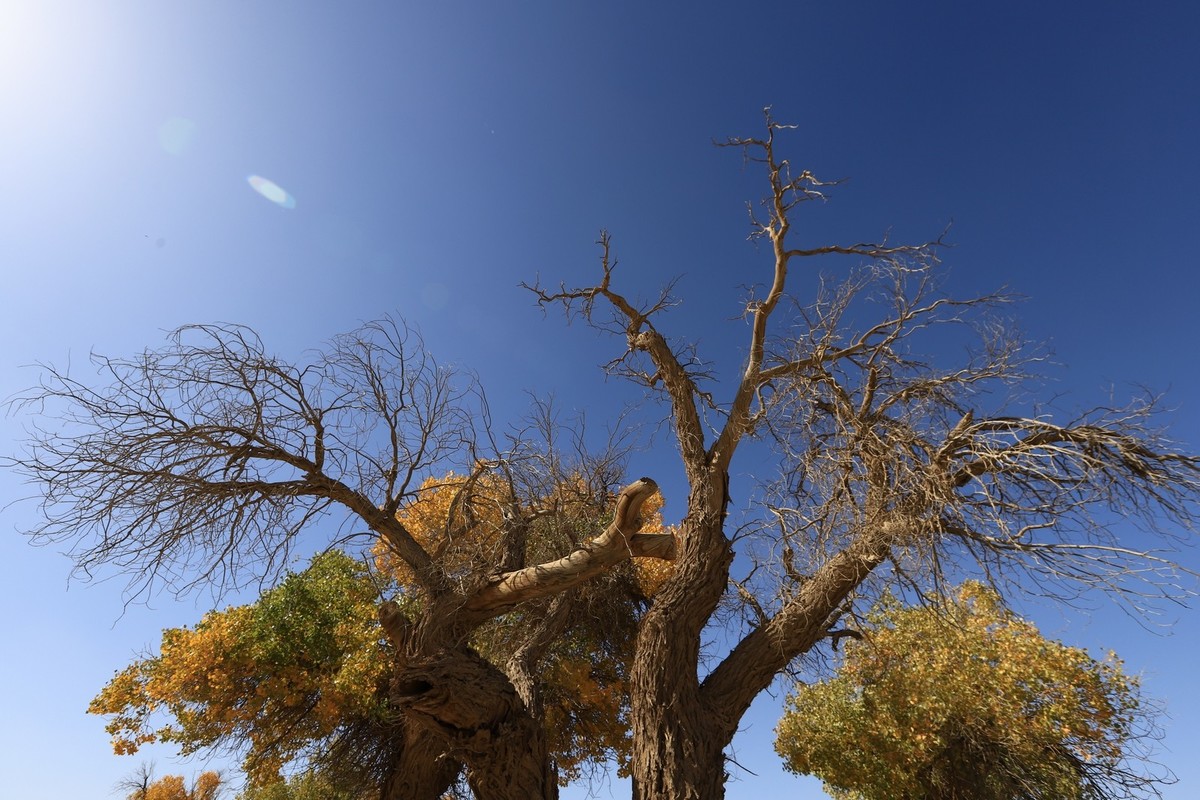 貌似进入了失落的世界（8）