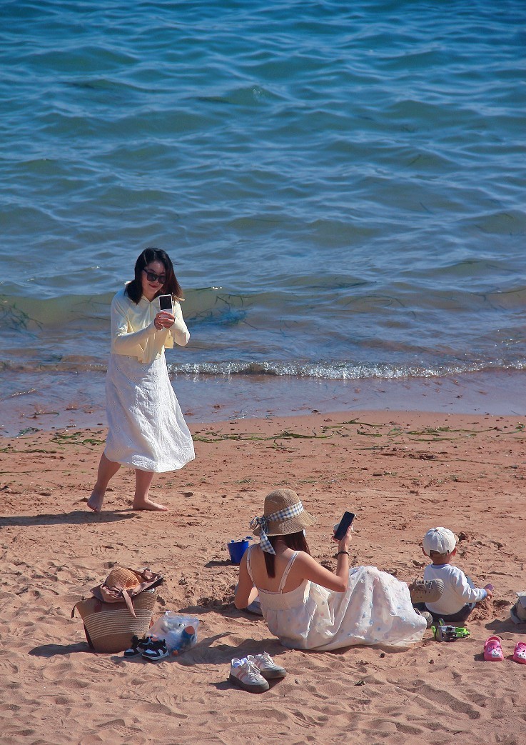 十一月的扫街抓拍片《风景，花草和妹子》