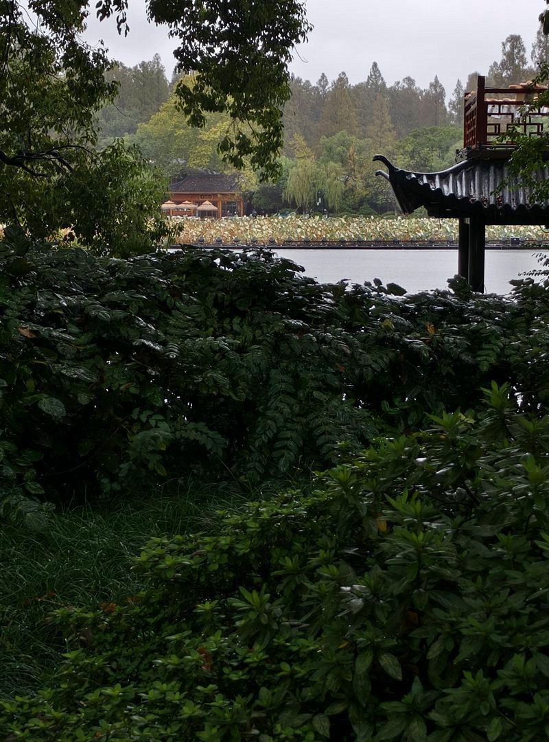 2024年.11月.1日--风雨中的杭州西湖