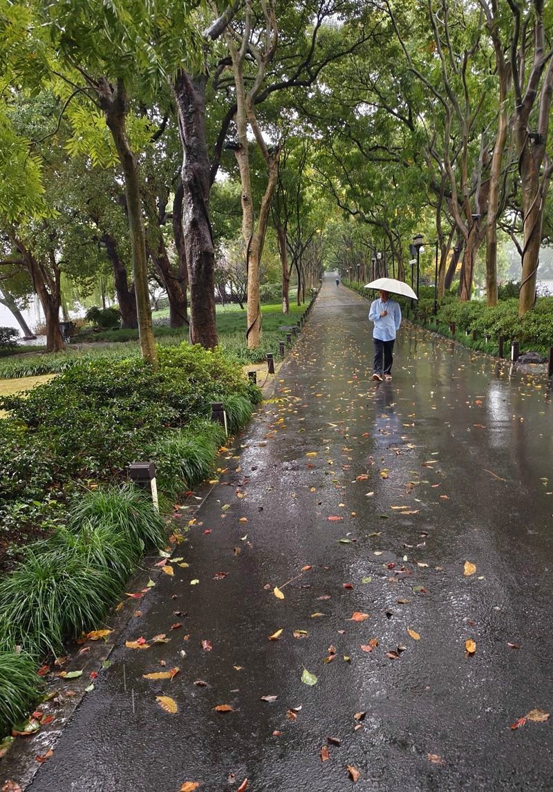 2024年.11月.1日--风雨中的杭州西湖
