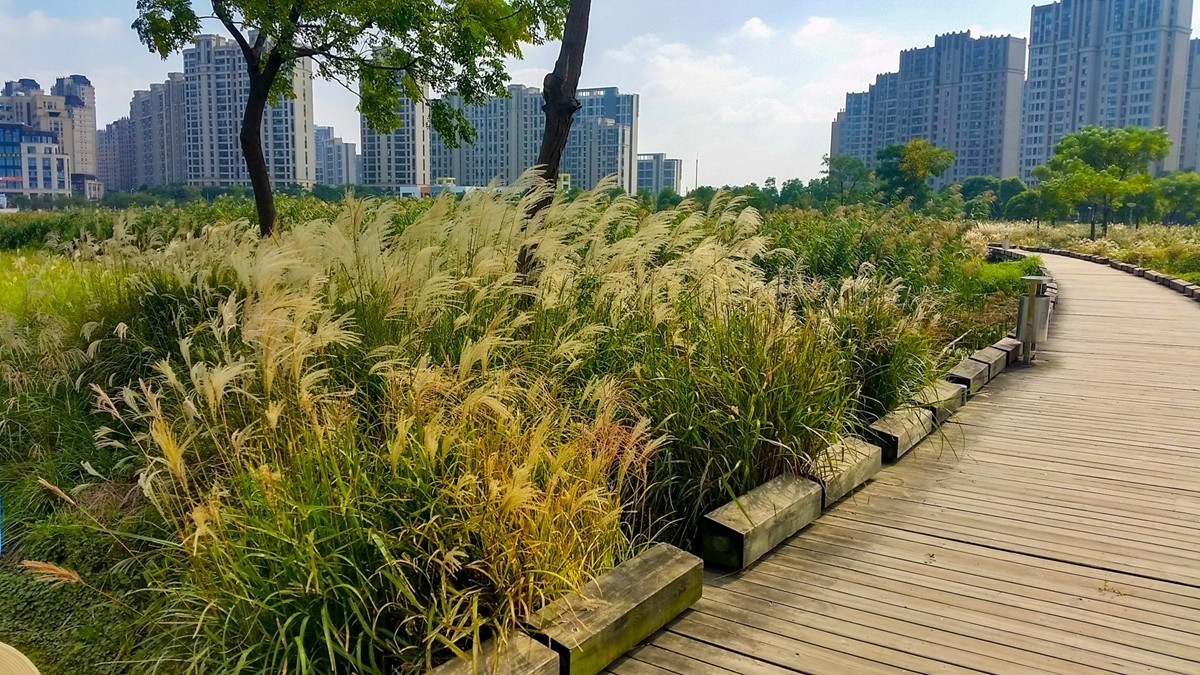 小区湖景（上海南翔）