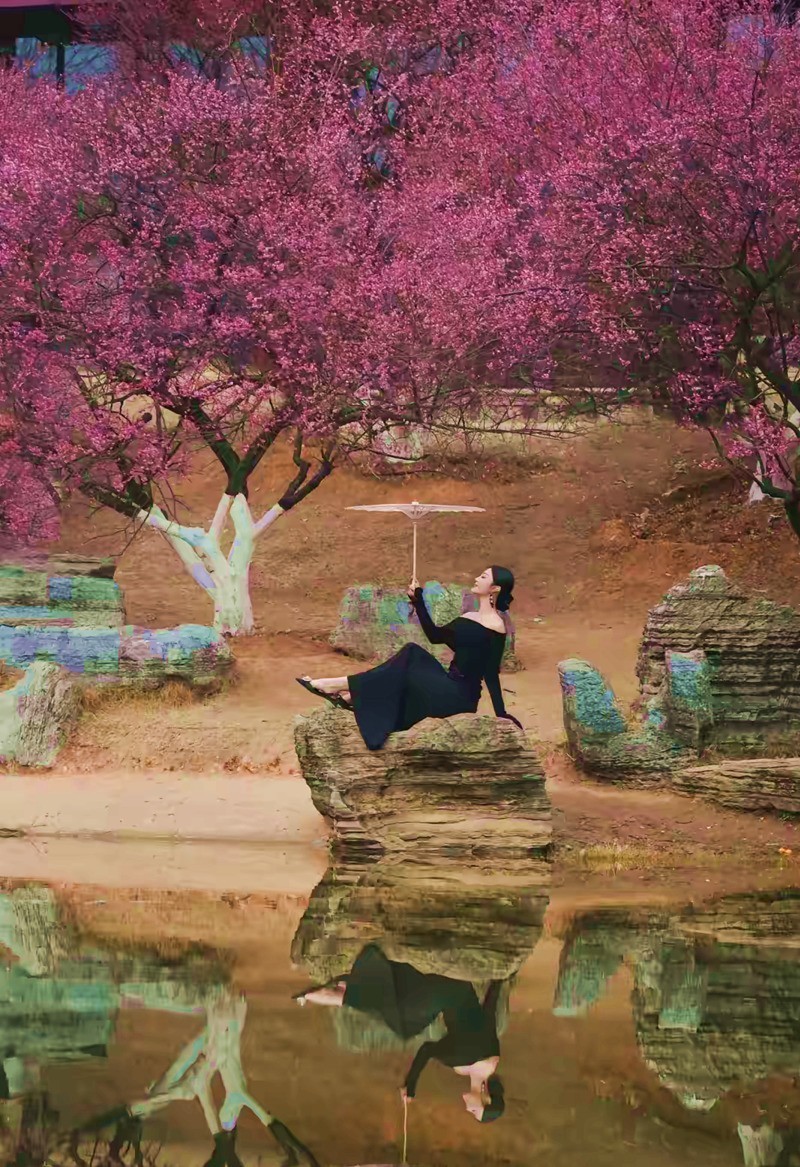 沙湾公园梅园来打卡--1