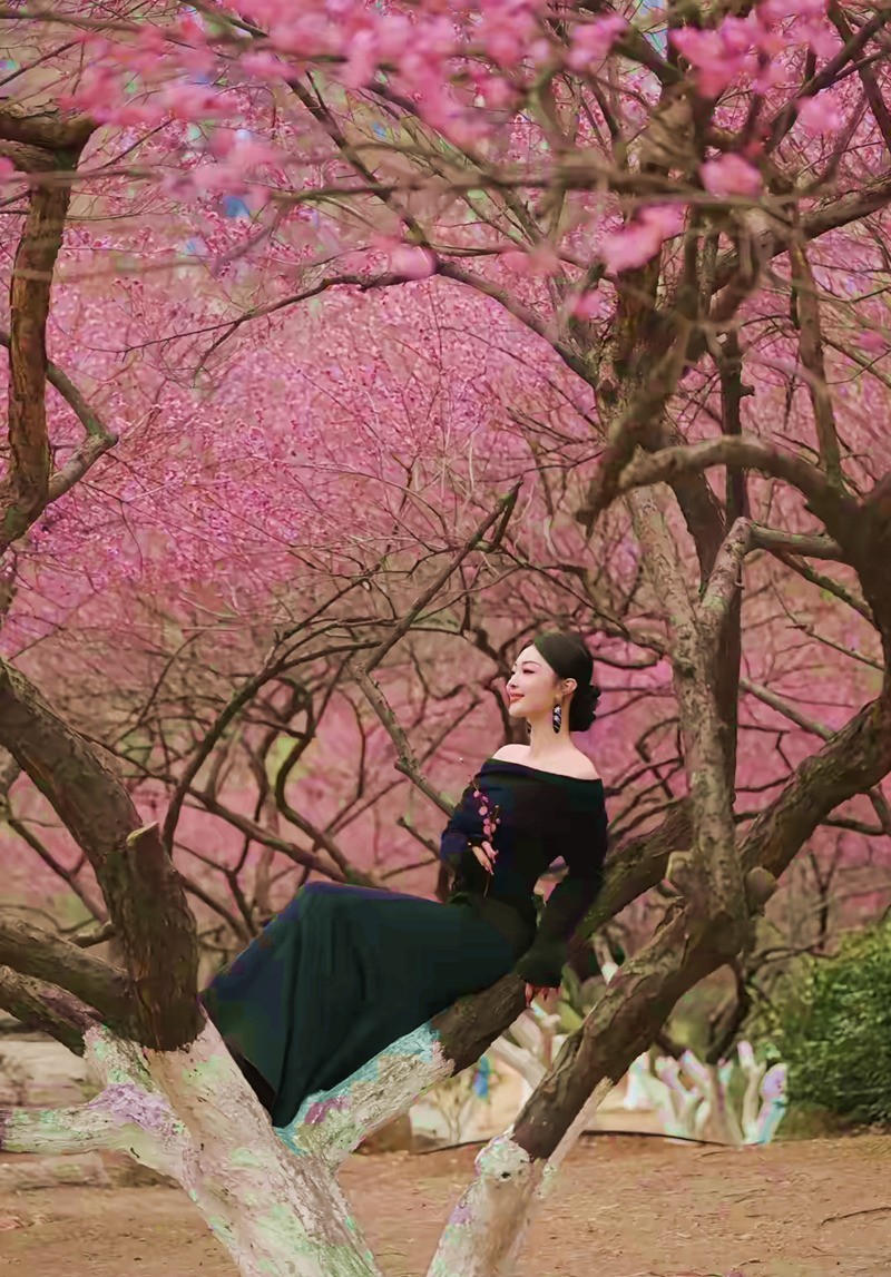 沙湾公园梅园来打卡--1