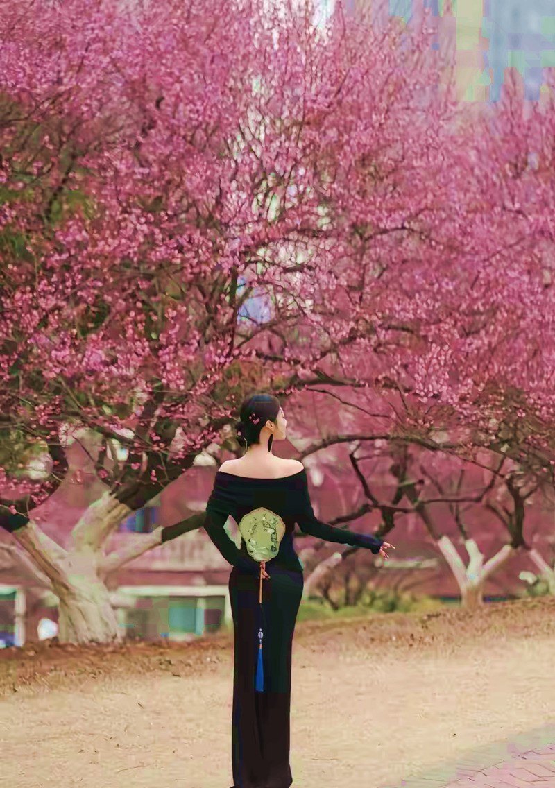 沙湾公园梅园来打卡--1