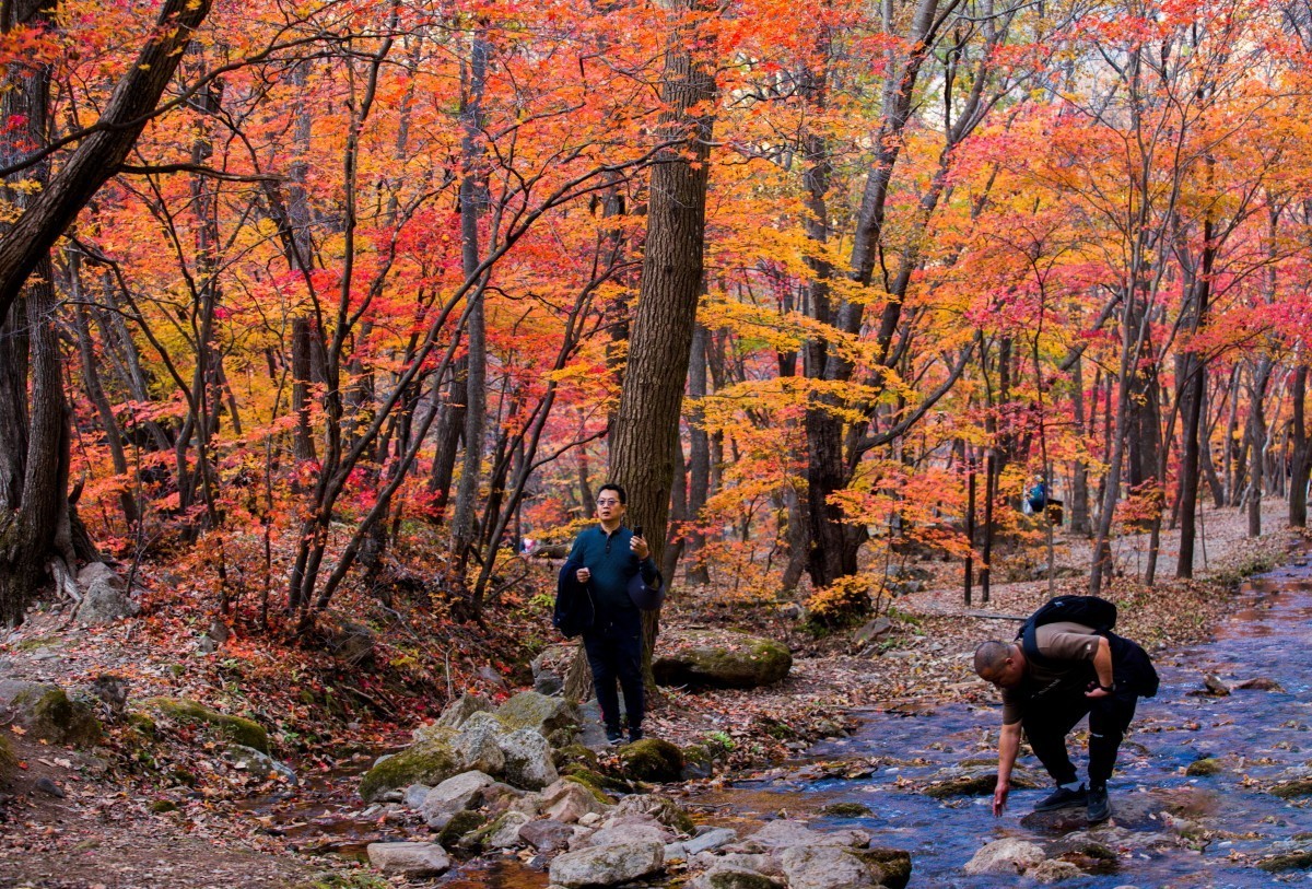 外出随拍（续290）.