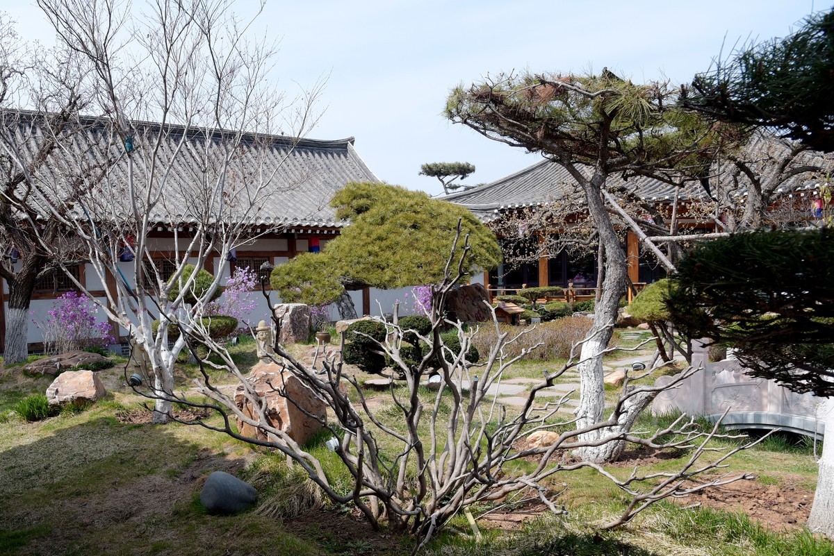 春游韩园（五）