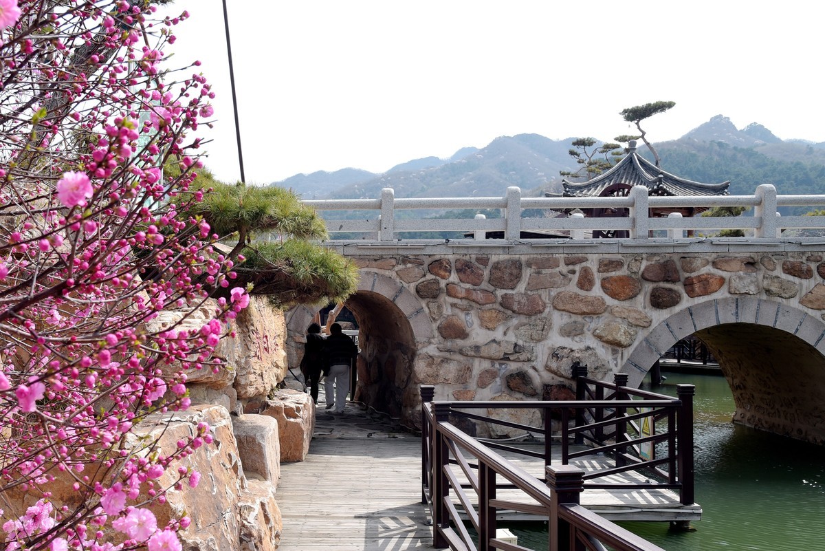 春游韩园（五）