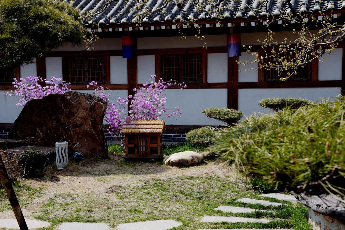 春游韩园（五）