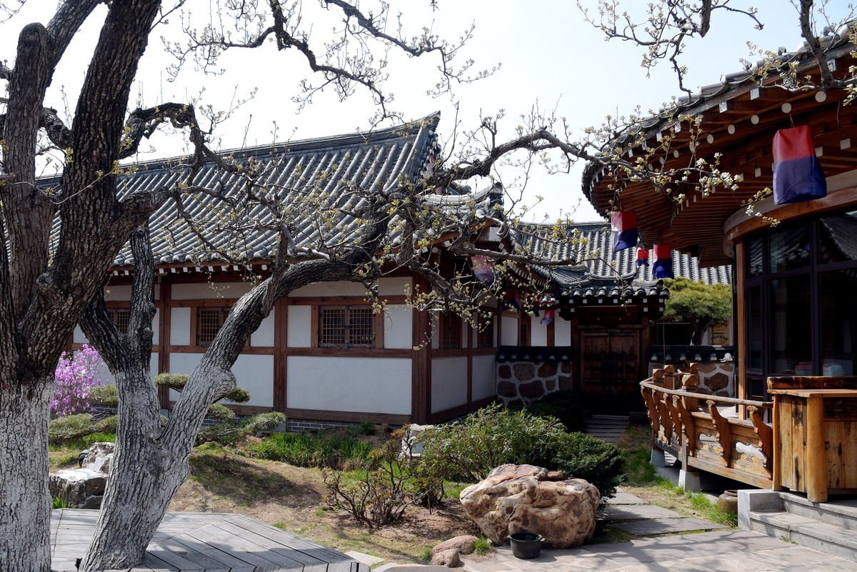 春游韩园（五）