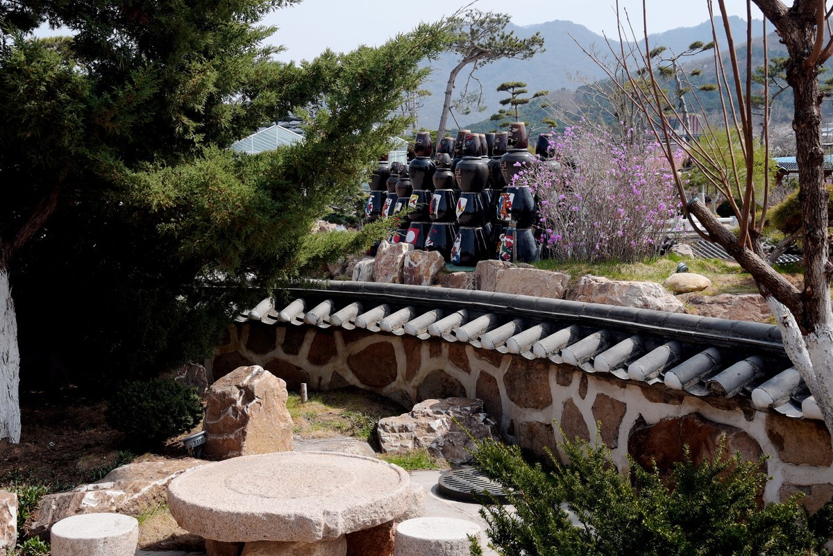 春游韩园（五）