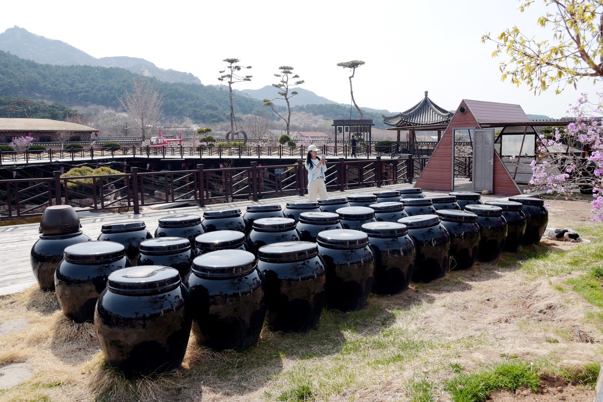 春游韩园（五）