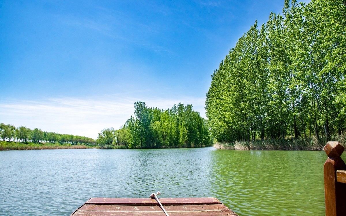 微山湖红荷湿地
