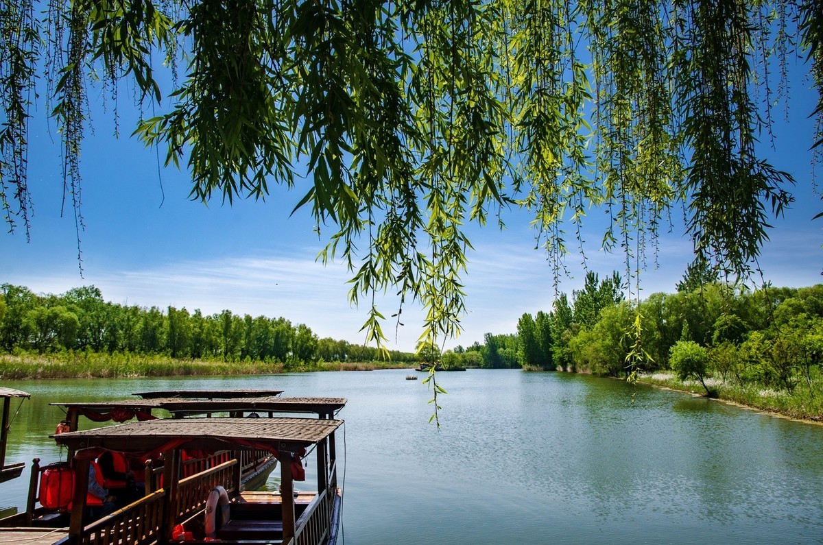 微山湖红荷湿地