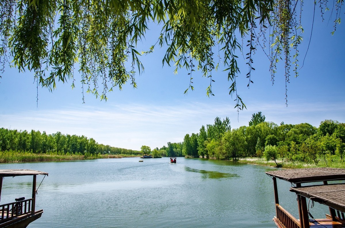 微山湖红荷湿地