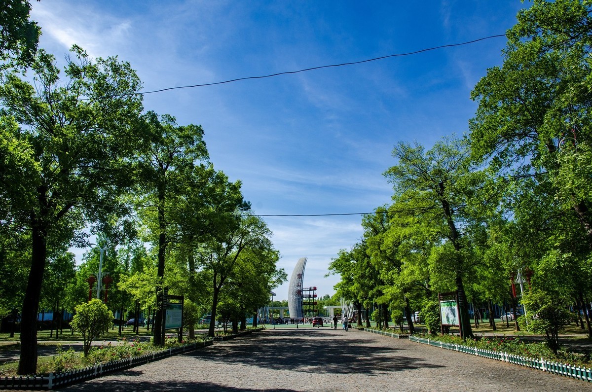 微山湖红荷湿地