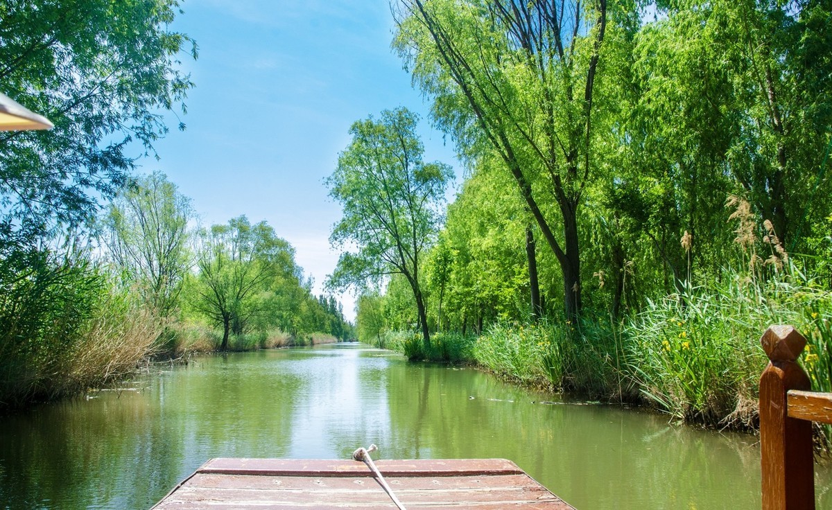 微山湖红荷湿地