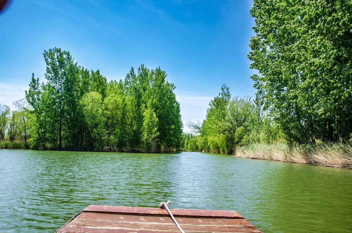 微山湖红荷湿地