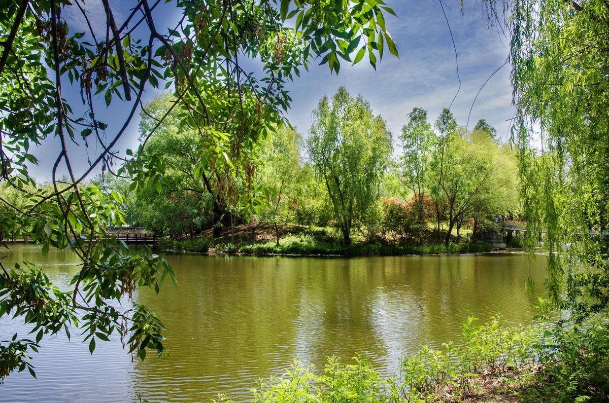 微山湖红荷湿地