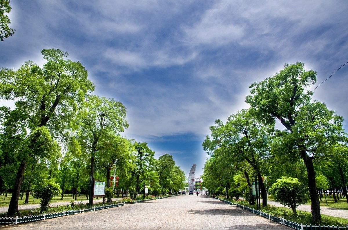 微山湖红荷湿地