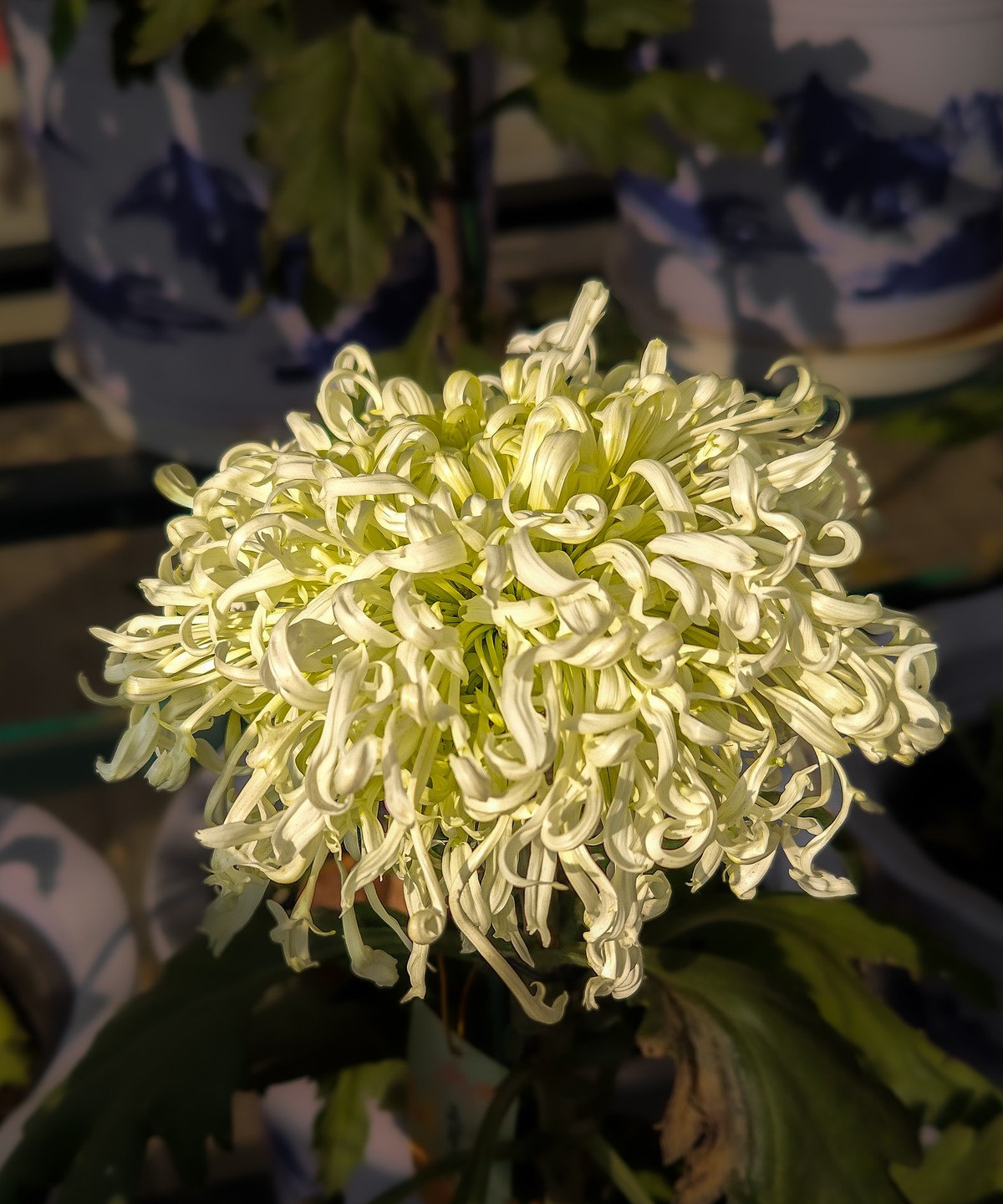 手机游拍20241112 《62》