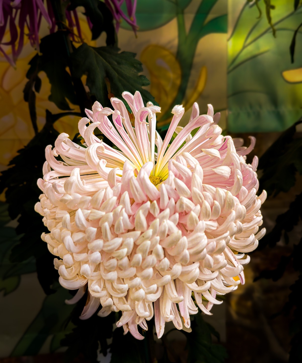 手机游拍20241112 《62》