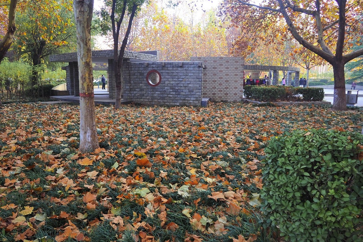 深秋里的薇波公园