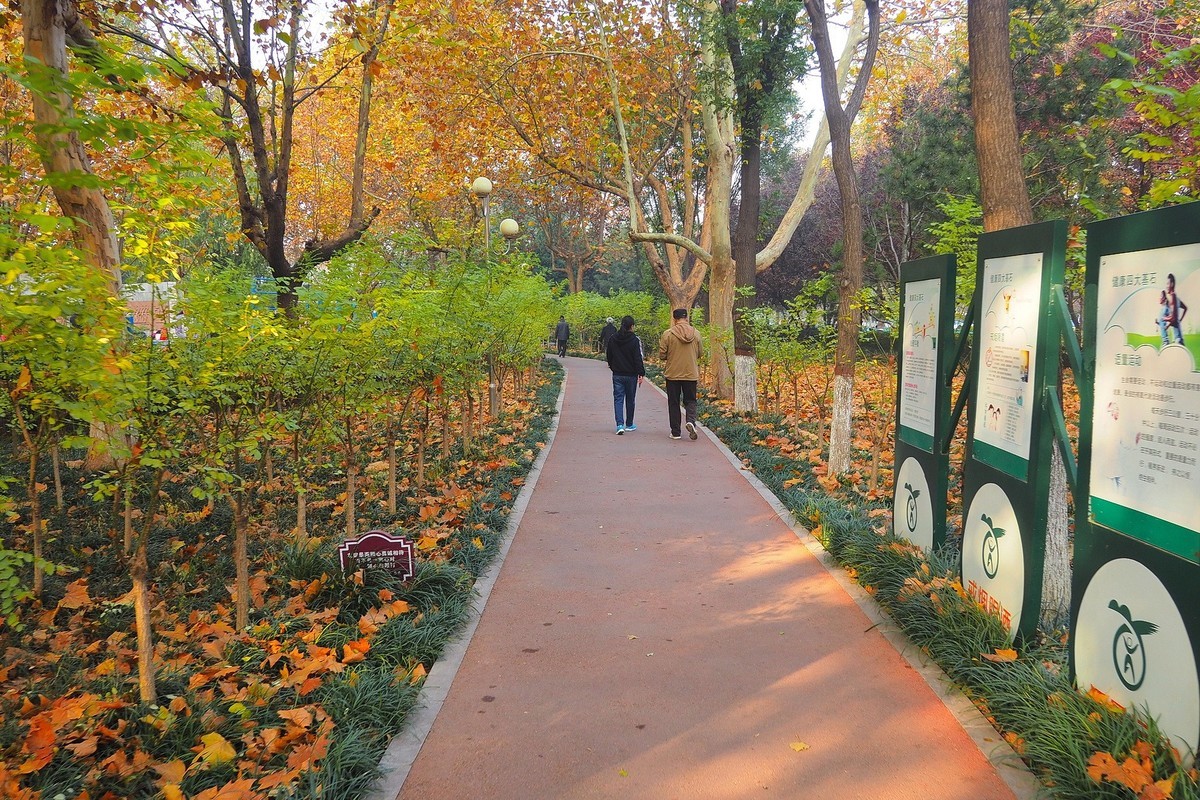 深秋裡的薇波公園