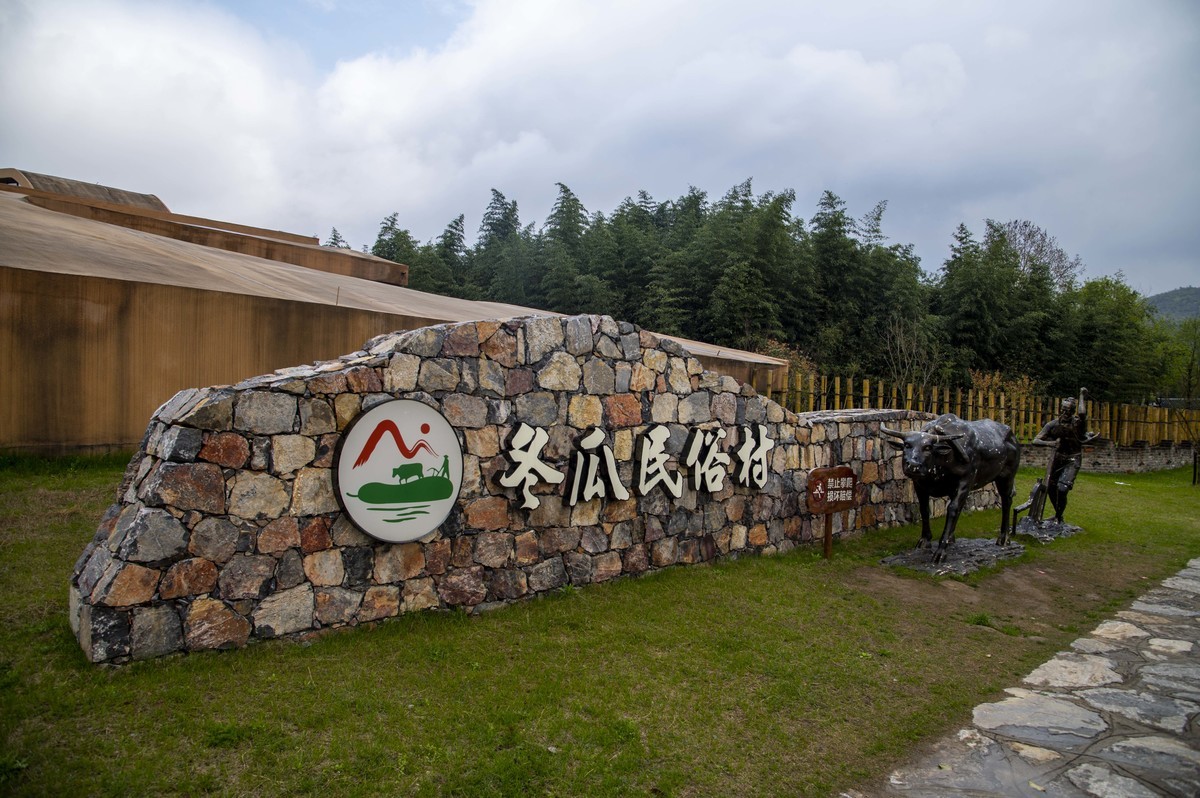 庐州印记（249）一组小景恭贺鹤乡郎中老师荣膺合肥星空(中国)版主