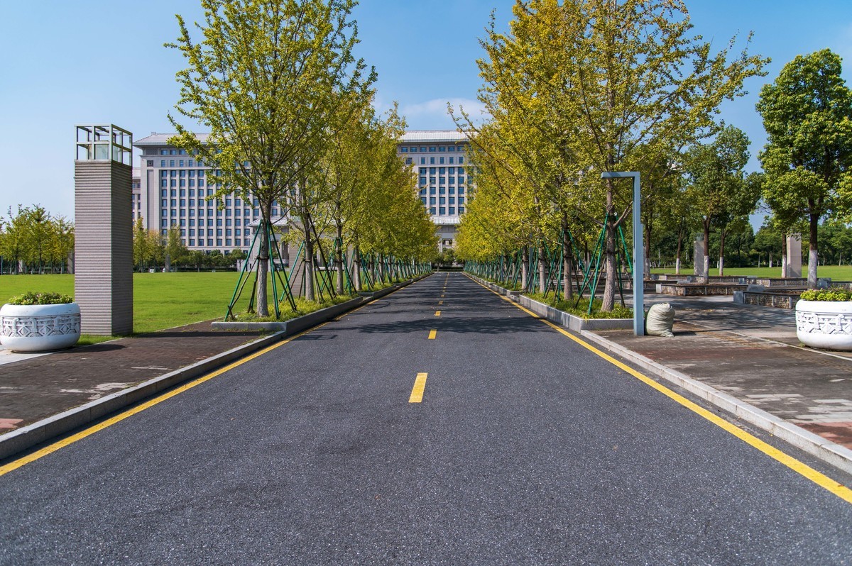 庐州印记（249）一组小景恭贺鹤乡郎中老师荣膺合肥星空(中国)版主