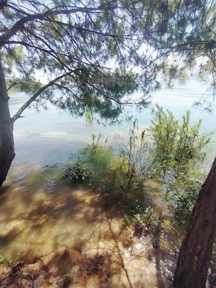 2022夏 湘赣边（23）依青山  衔秀水  碧镜连天