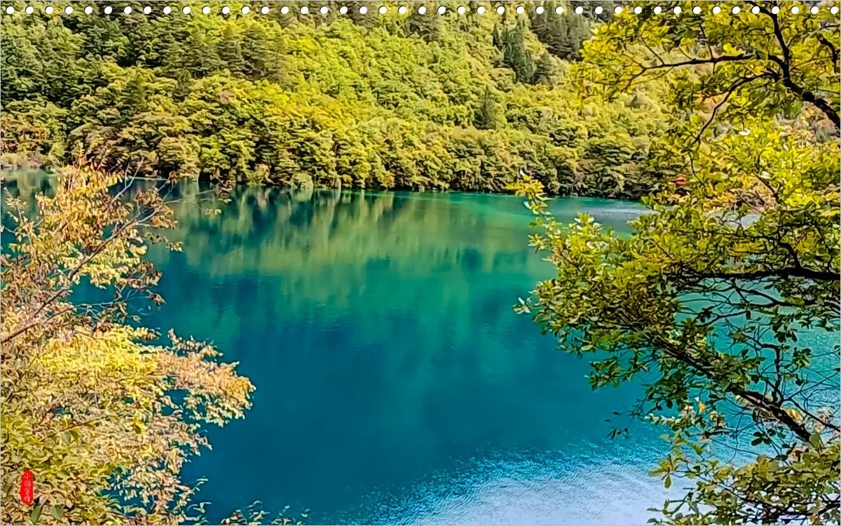 2022年九寨沟随拍-43