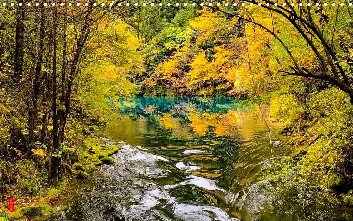 2022年九寨沟随拍-43