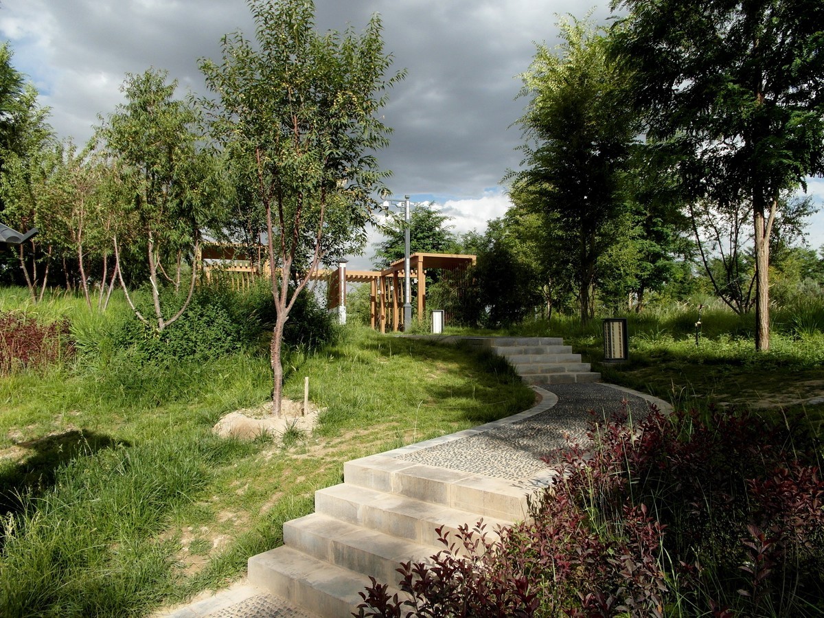 城市里的绿色心情