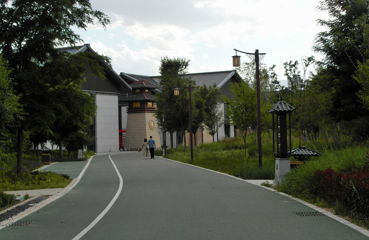 城市里的绿色心情