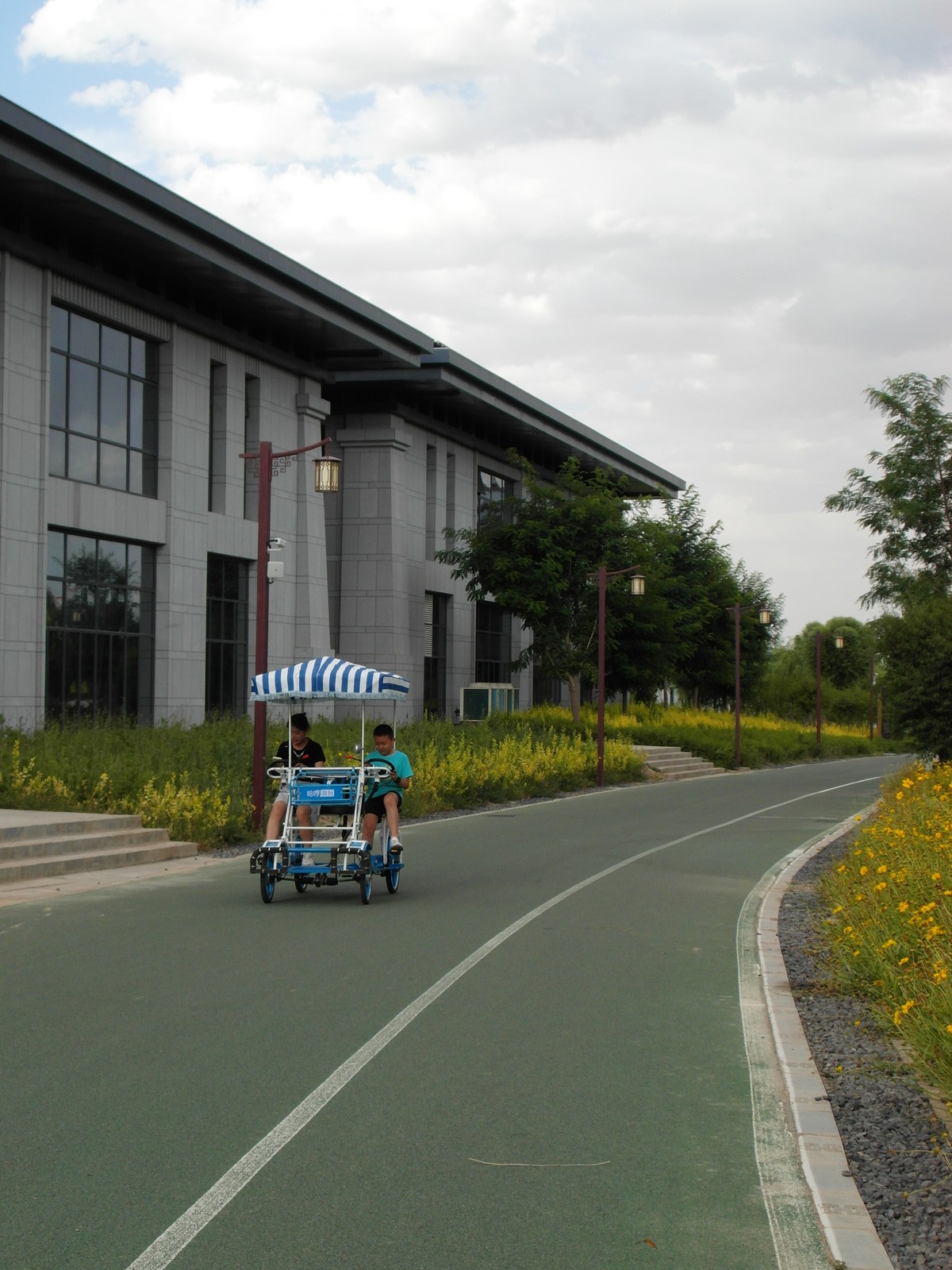 城市里的绿色心情