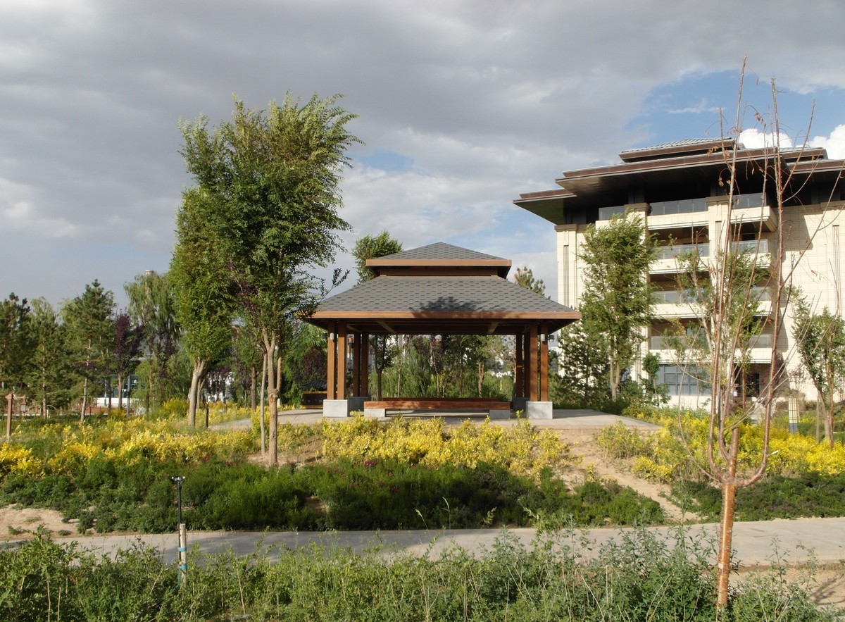 城市里的绿色心情