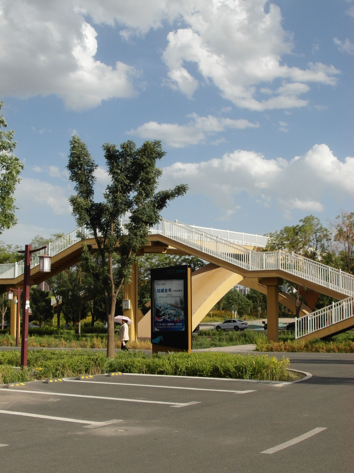 城市里的绿色心情