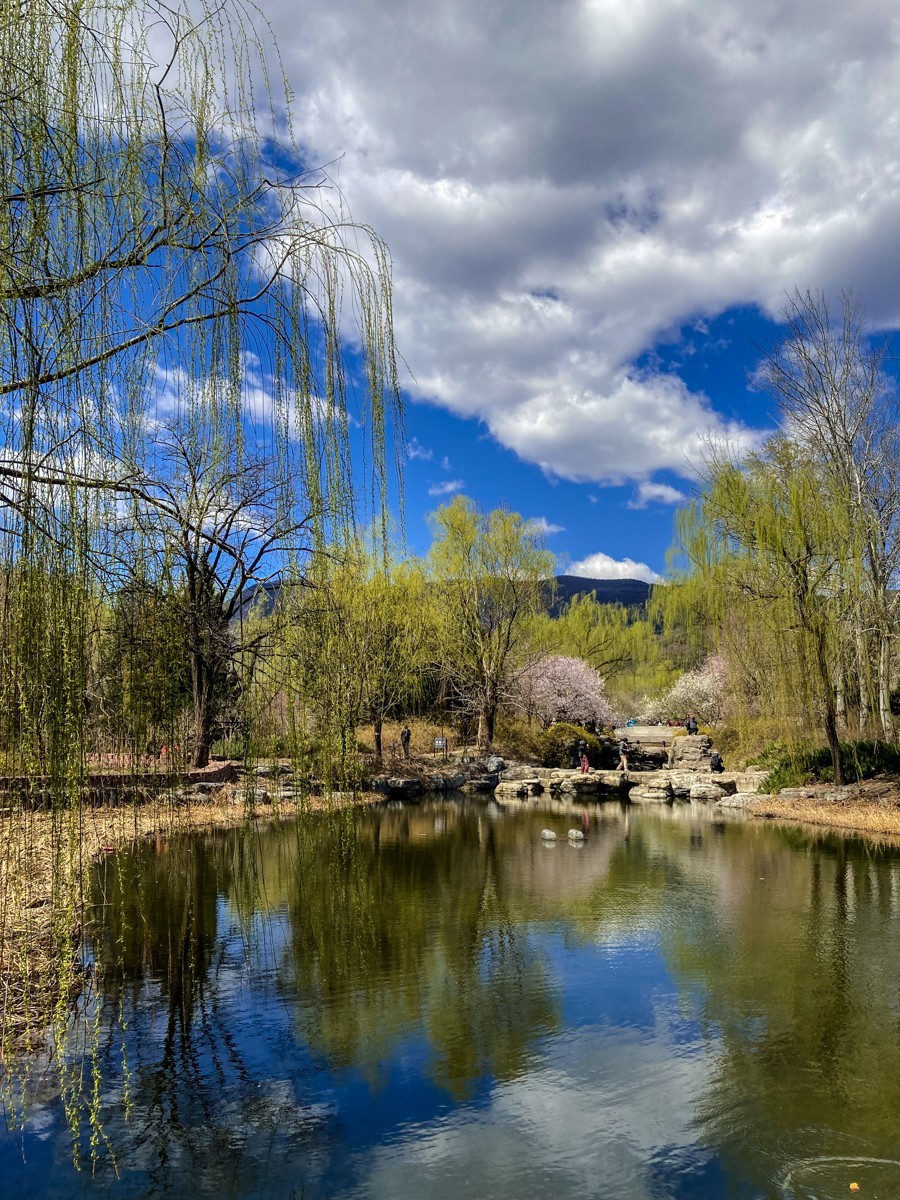 2023年-风光纪实拍集锦-798