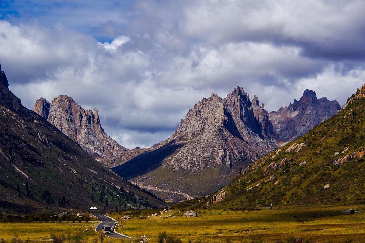 宾得K70拍莲宝叶则