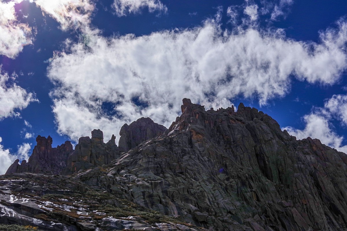 宾得K70拍莲宝叶则