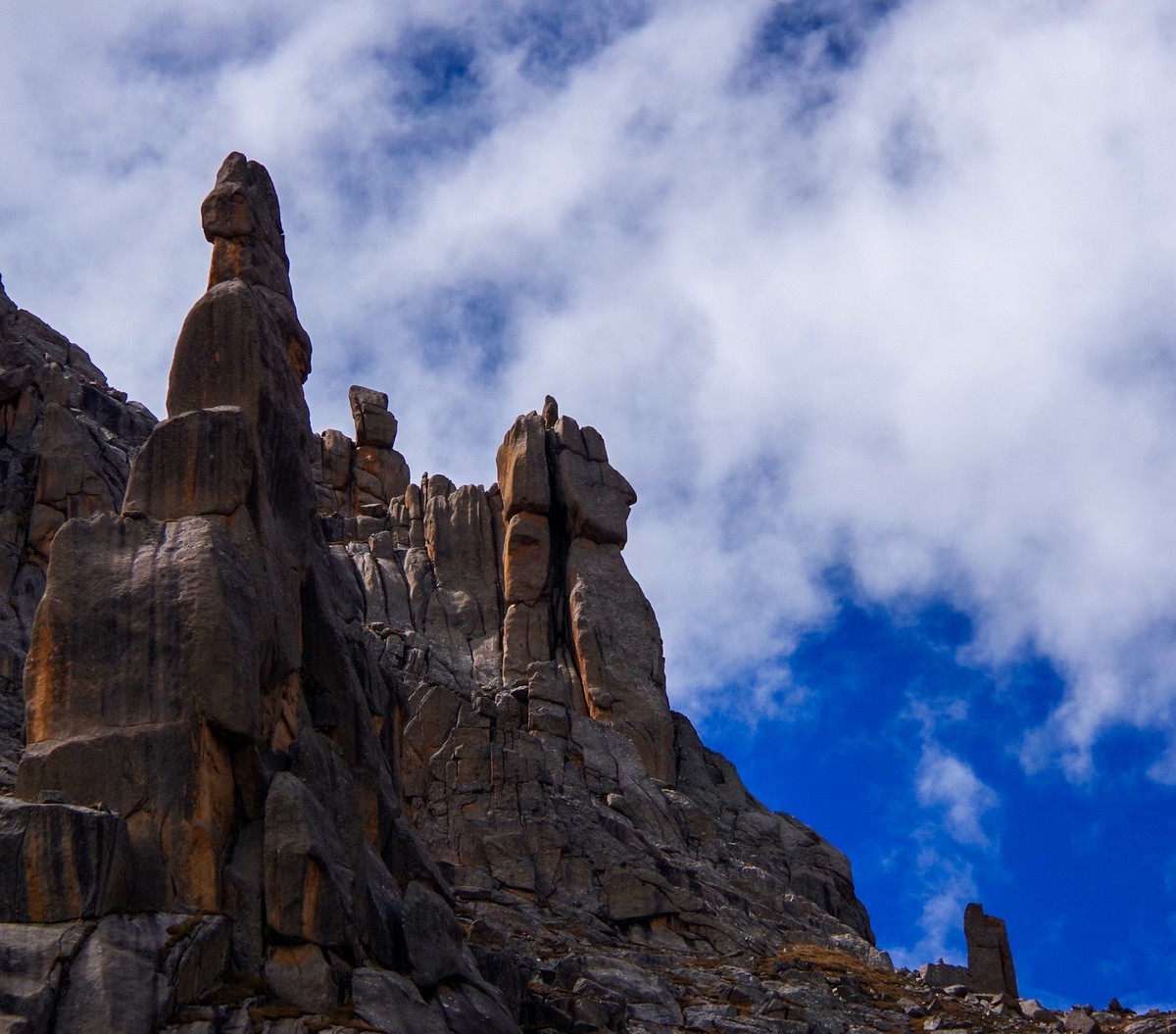 宾得K70拍莲宝叶则