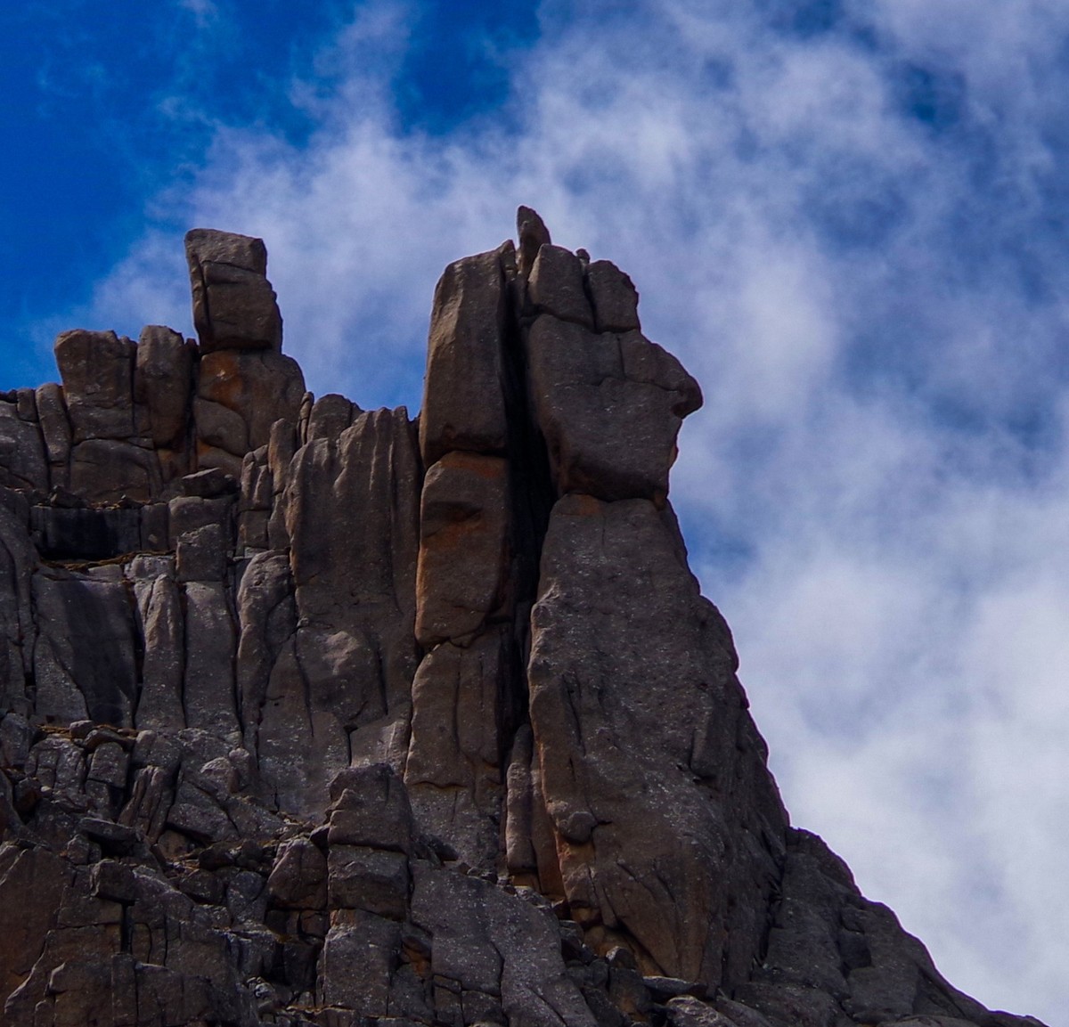 宾得K70拍莲宝叶则