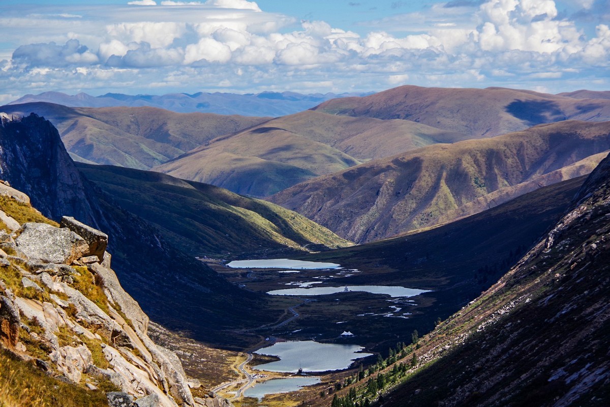 宾得K70拍莲宝叶则