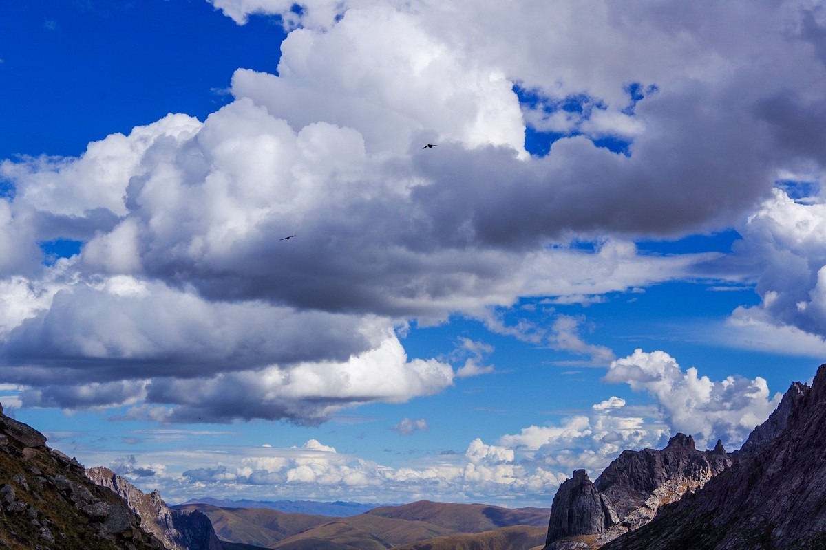 宾得K70拍莲宝叶则