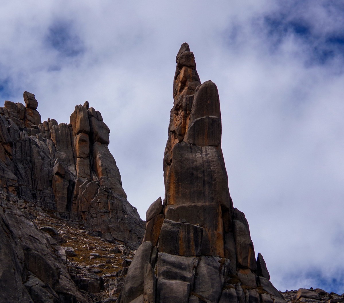 宾得K70拍莲宝叶则