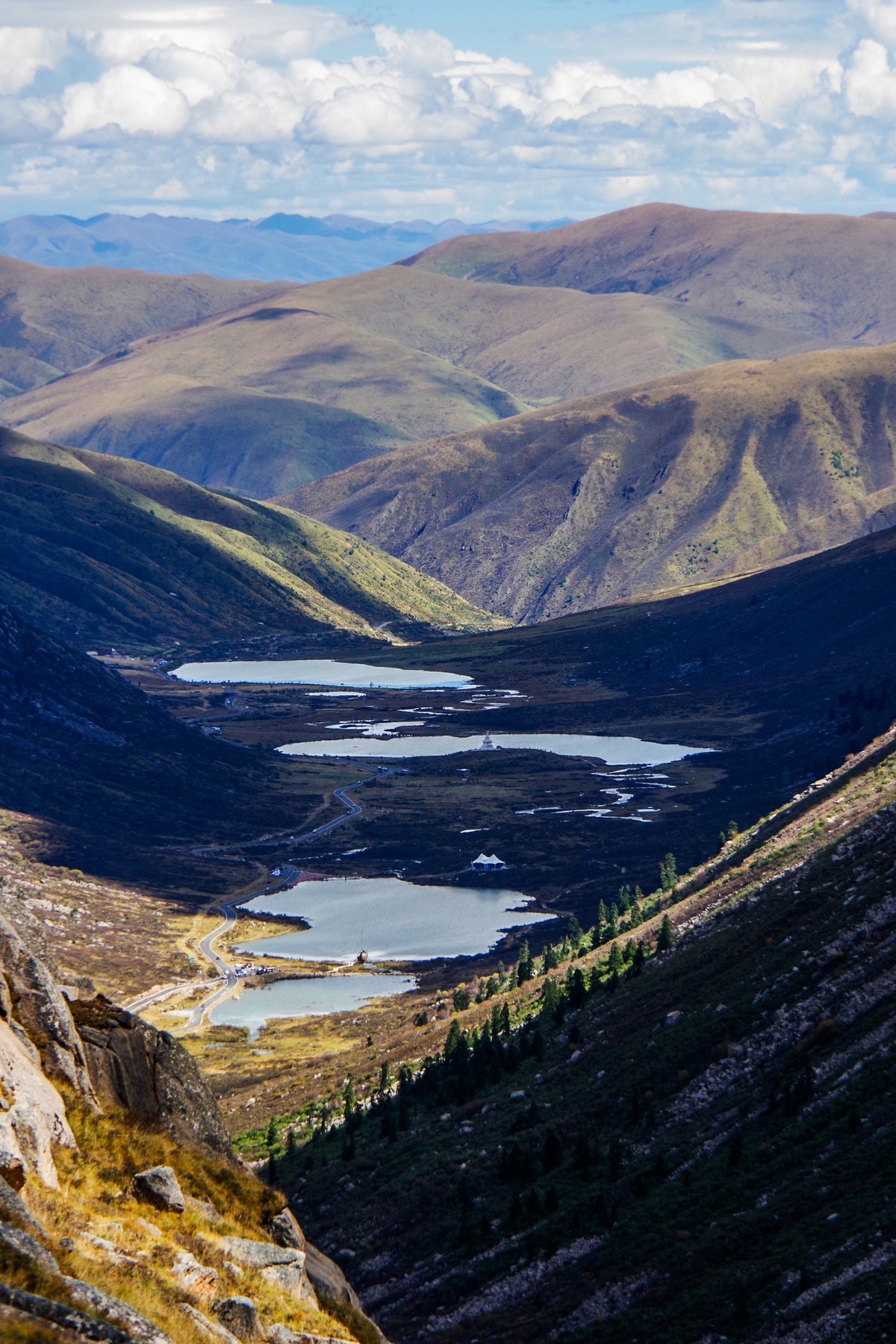 宾得K70拍莲宝叶则
