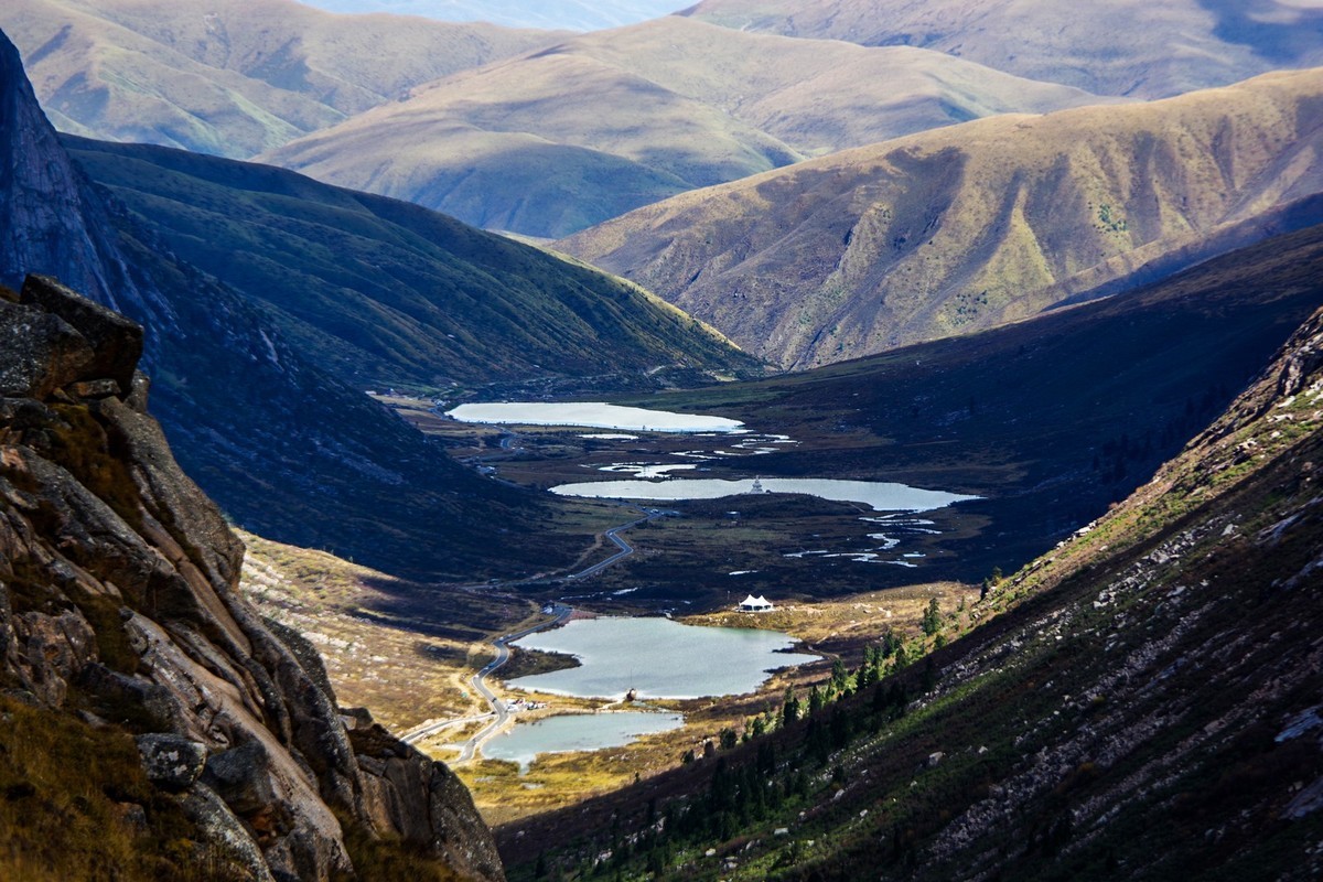 宾得K70拍莲宝叶则