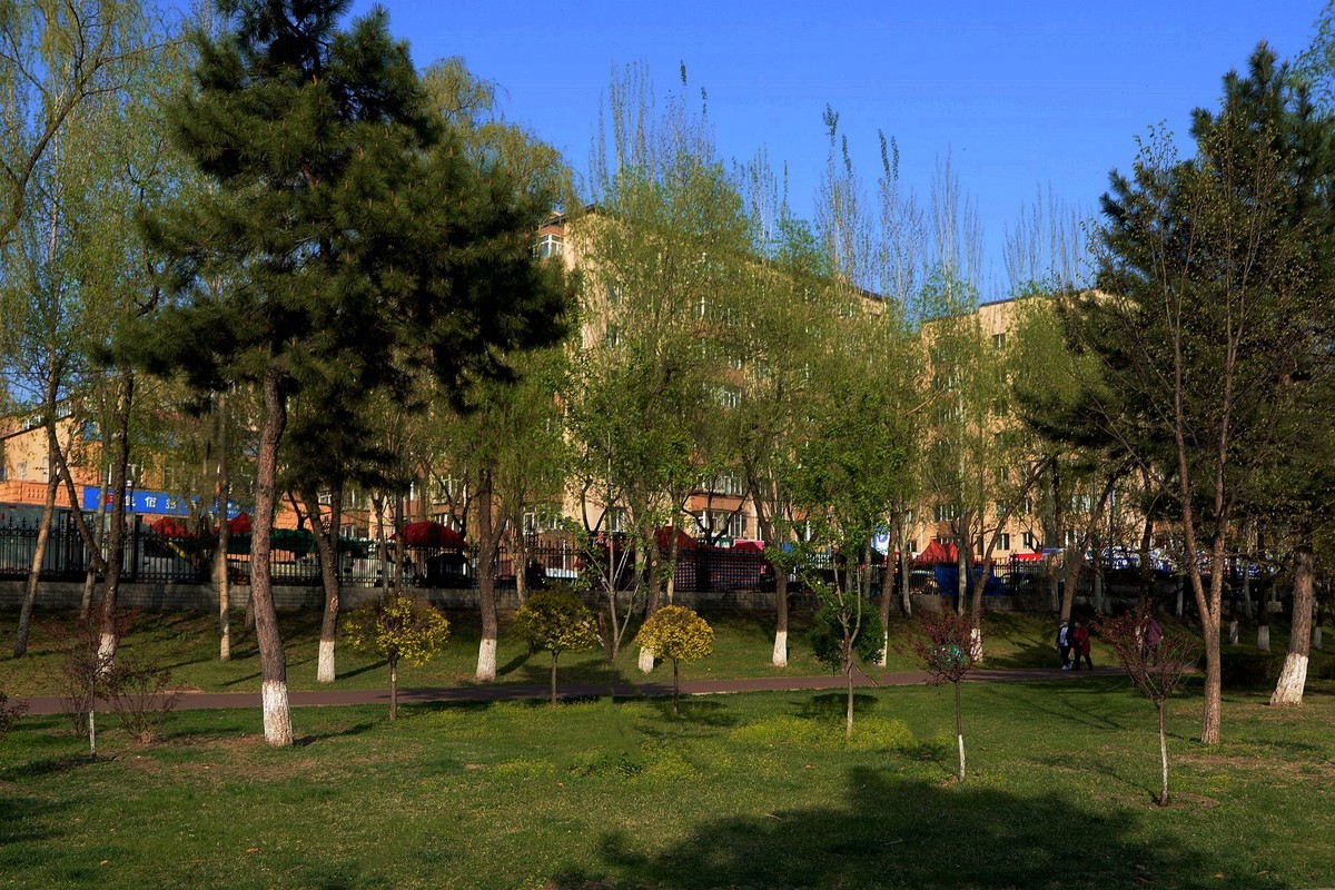 夕阳余辉下的公园（1）