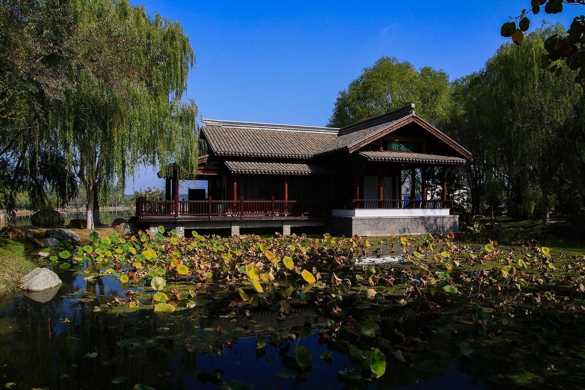 腾龙16-300这头可玩性不错的！