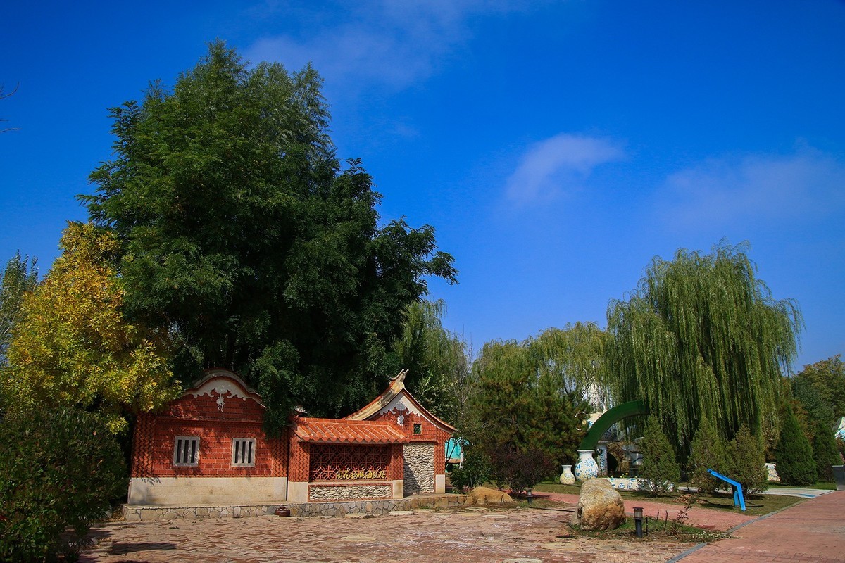 腾龙16-300这头可玩性不错的！